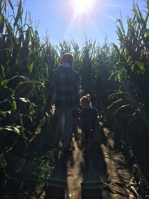 The Dreaded Family&nbsp;Court